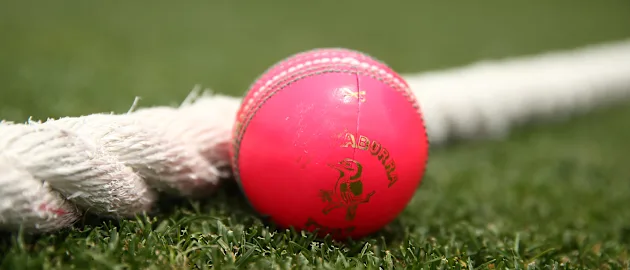 The Kookaburra version of the pink ball was used in the 2016-17 Duleep Trophy