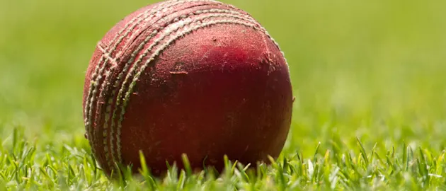 Cricket ball