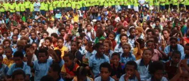 23135 Big Year for Cricket PNG