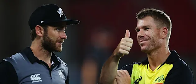 David Warner and Kane Williamson