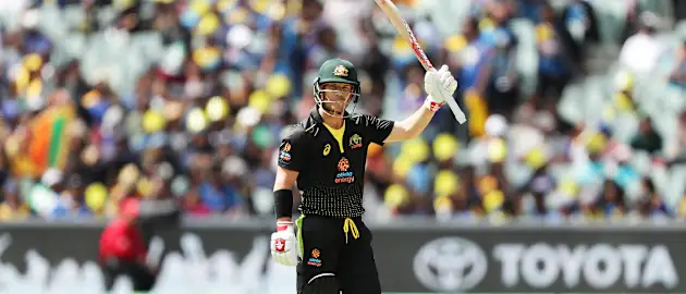 David Warner acknowledges the crowd's applause