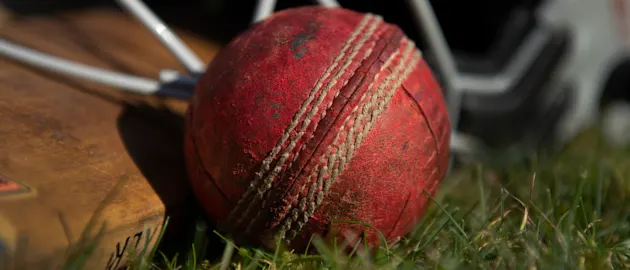 cricket ball
