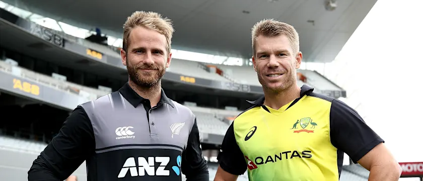 Kane Williamson and David Warner