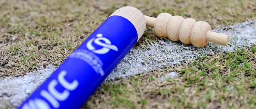 ICC Branded Stumps and Bails