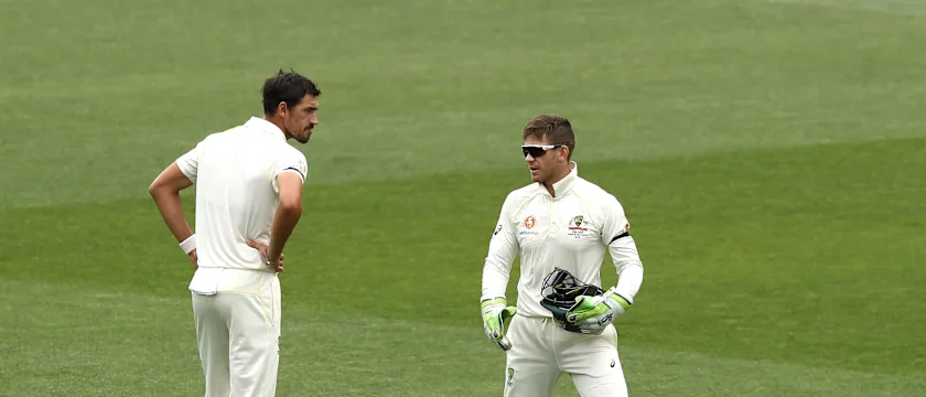 Paine Starc