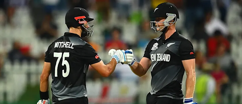NZ By the Numbers