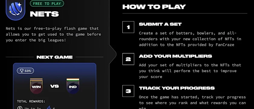 How to play Nets