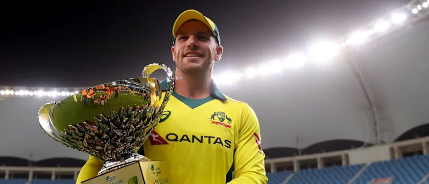 Finch with series cup
