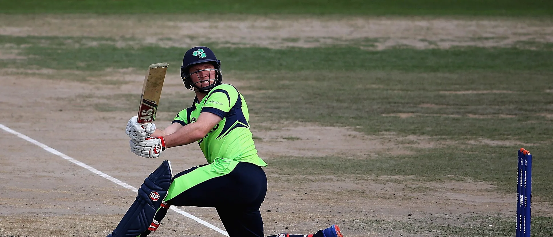Logo of Gary Wilson kept Irish hopes alive with a 34-ball 59