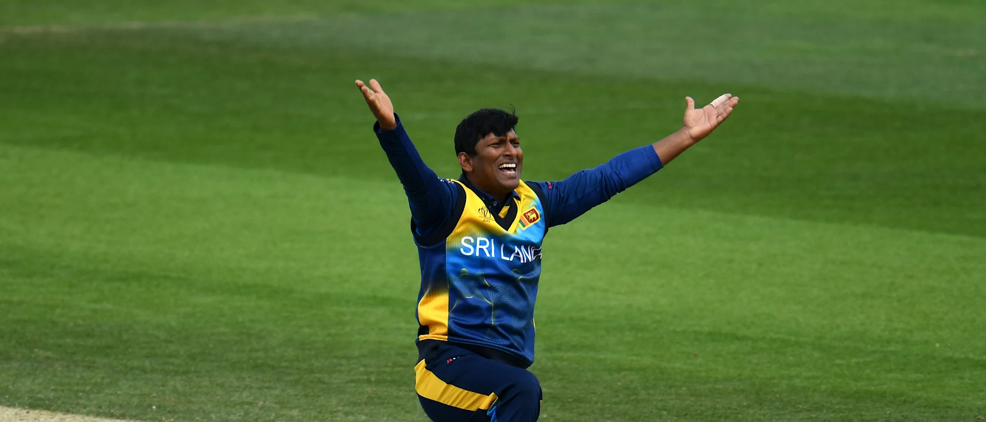 Jeevan Mendis