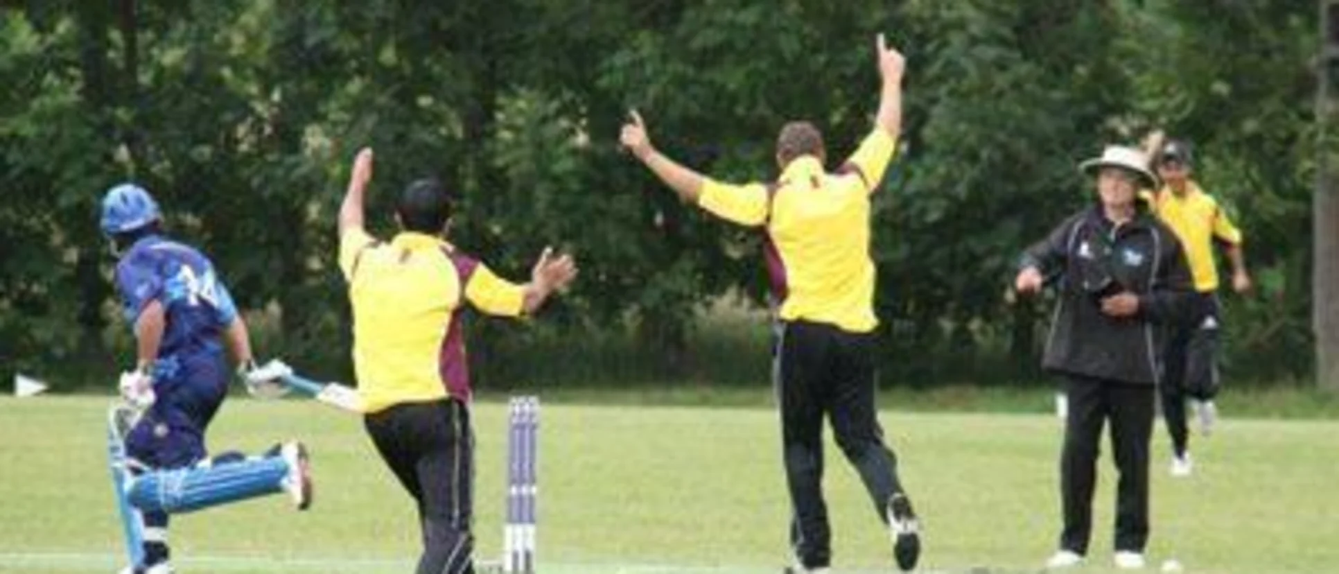 23192 Belgium celebrate another wicket
