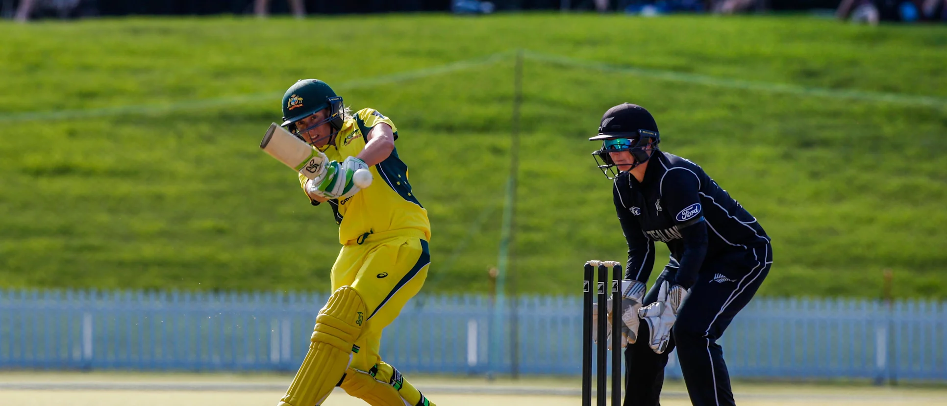 Logo of Alyssa Healy