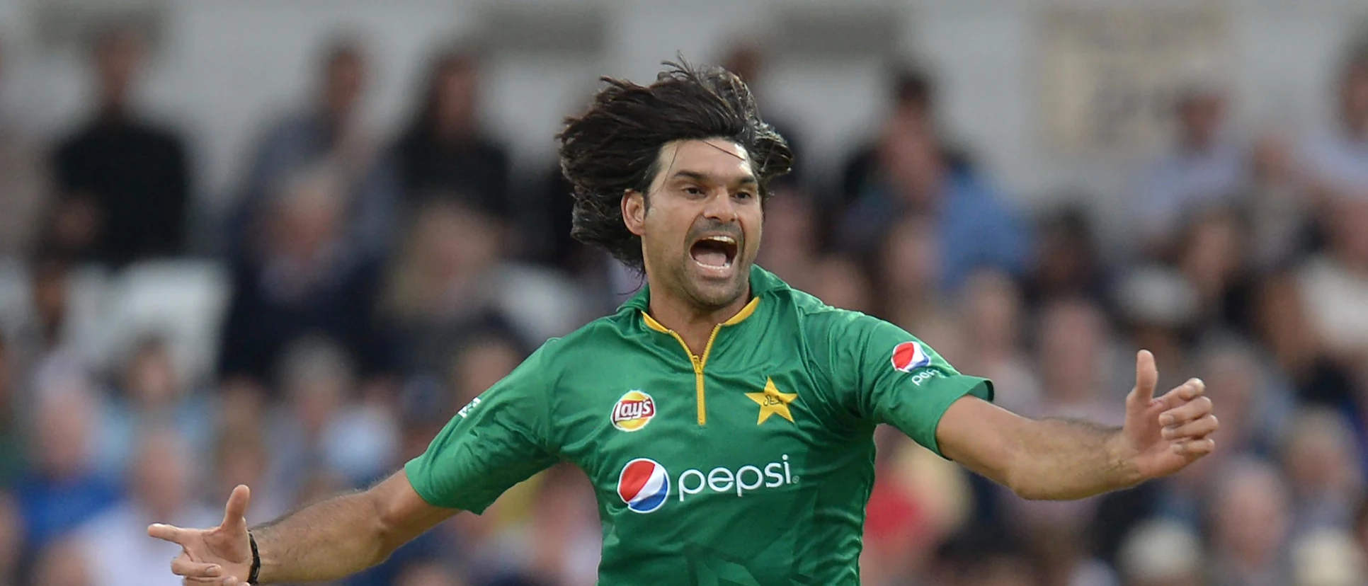 Logo of Irfan