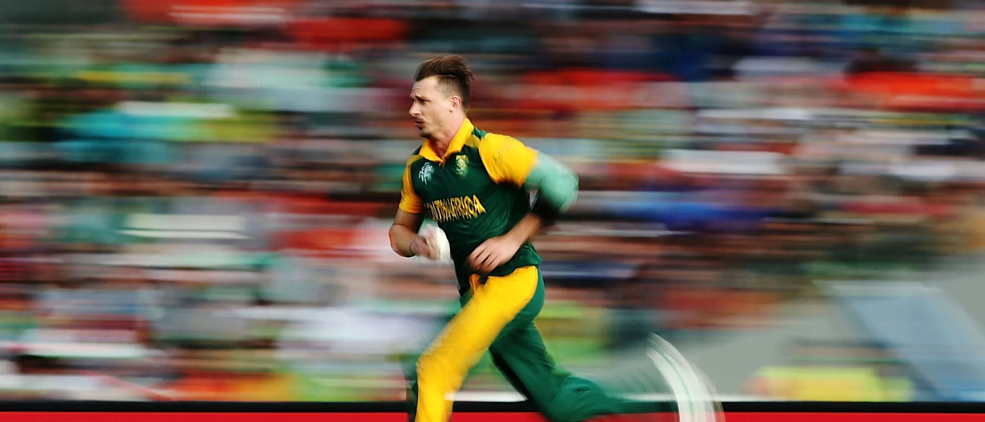 Logo of steyn lead photo