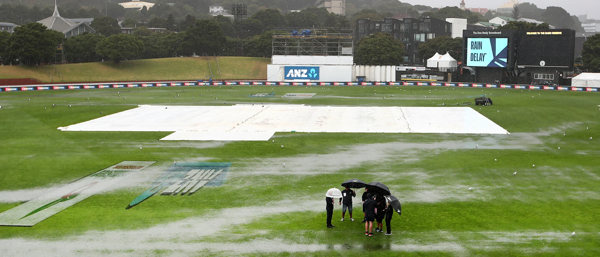 Basin Reserve