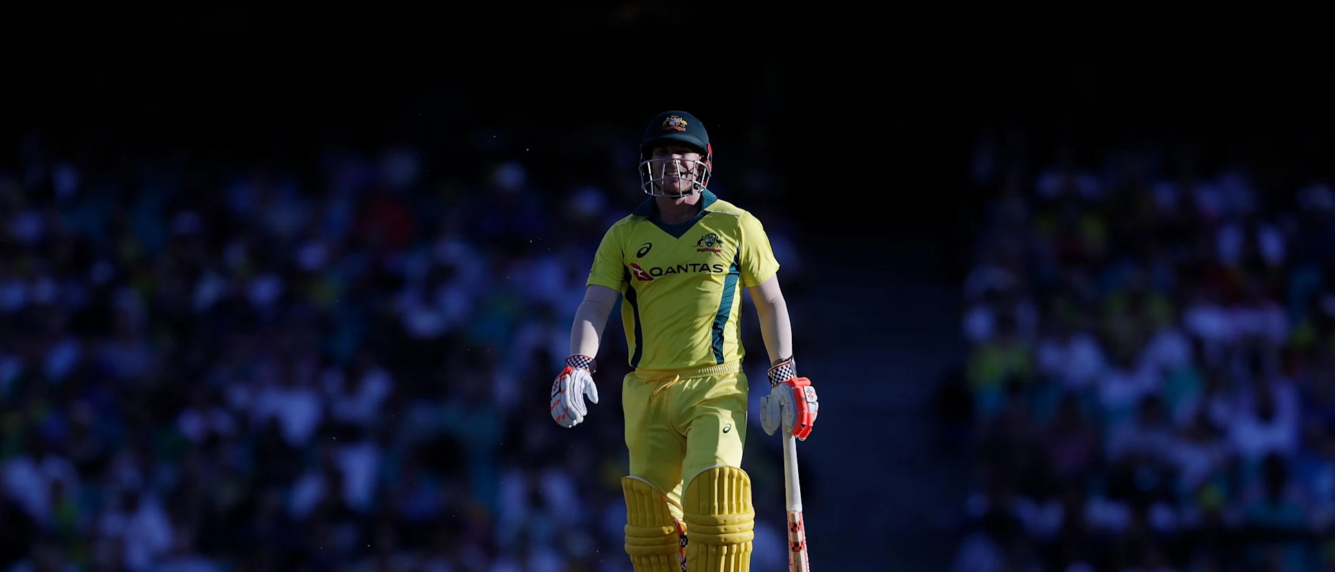 Logo of David Warner bats for Australia
