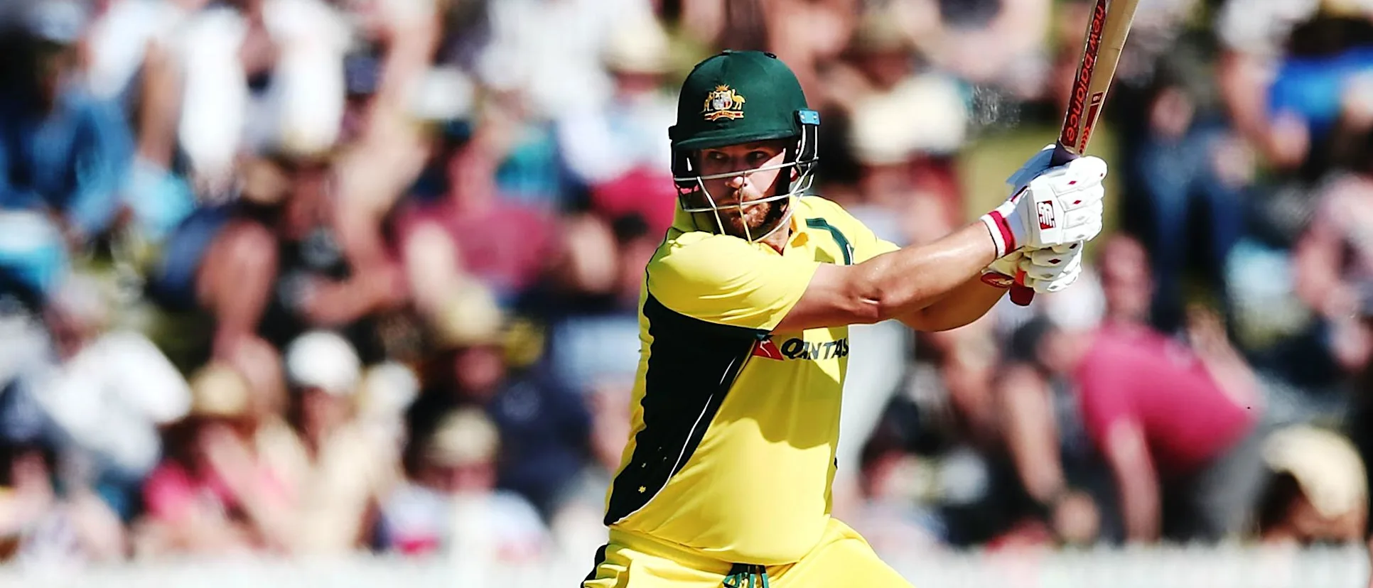 Logo of Aaron Finch