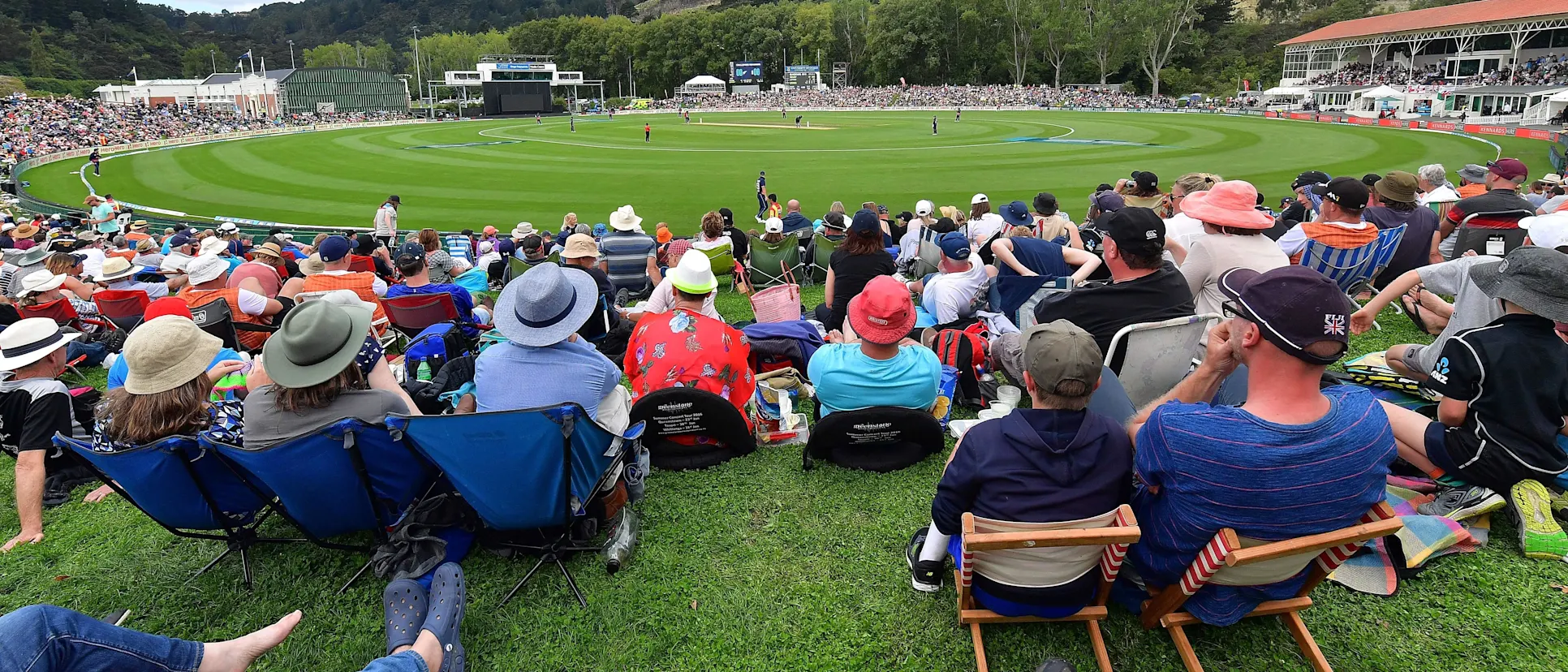Logo of Cricket spectators