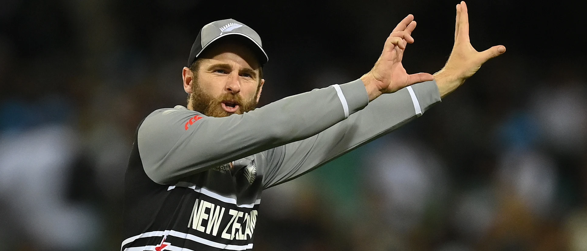 Logo of Kane Williamson