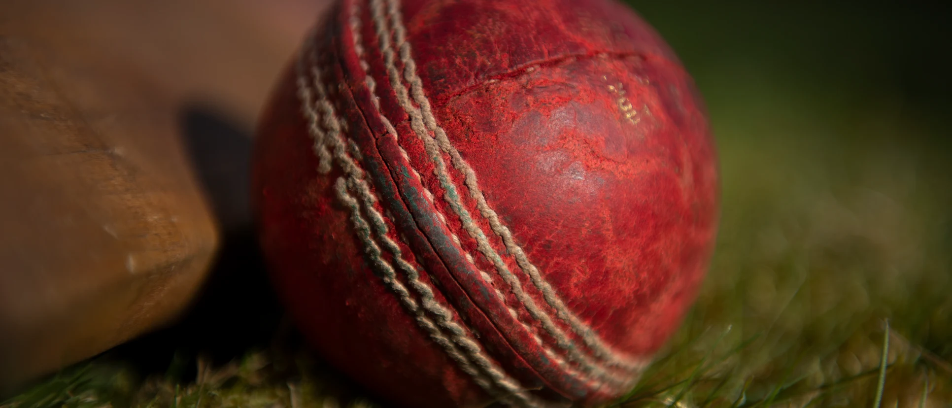 Logo of cricket