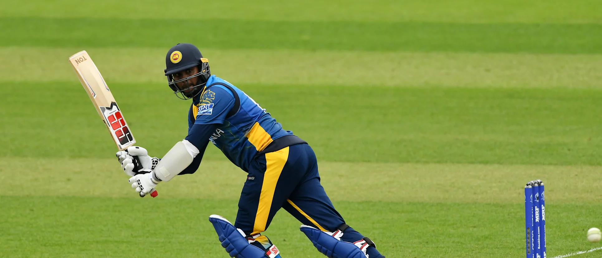Mathews plays one off his pads against South Africa