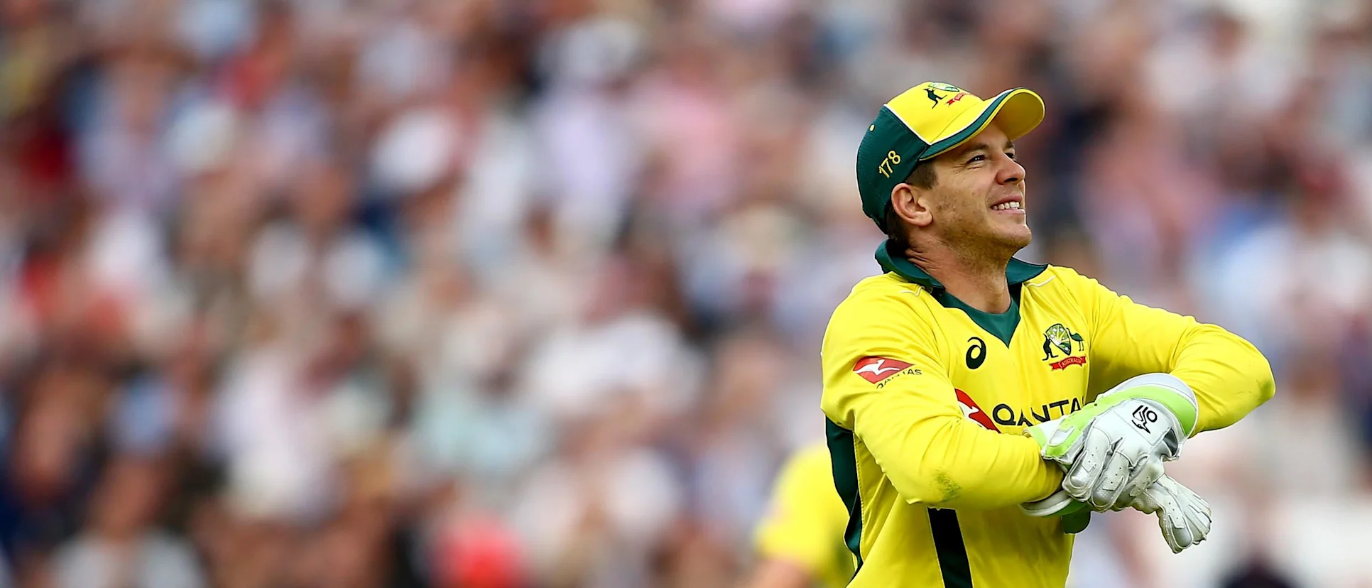 Logo of Tim Paine