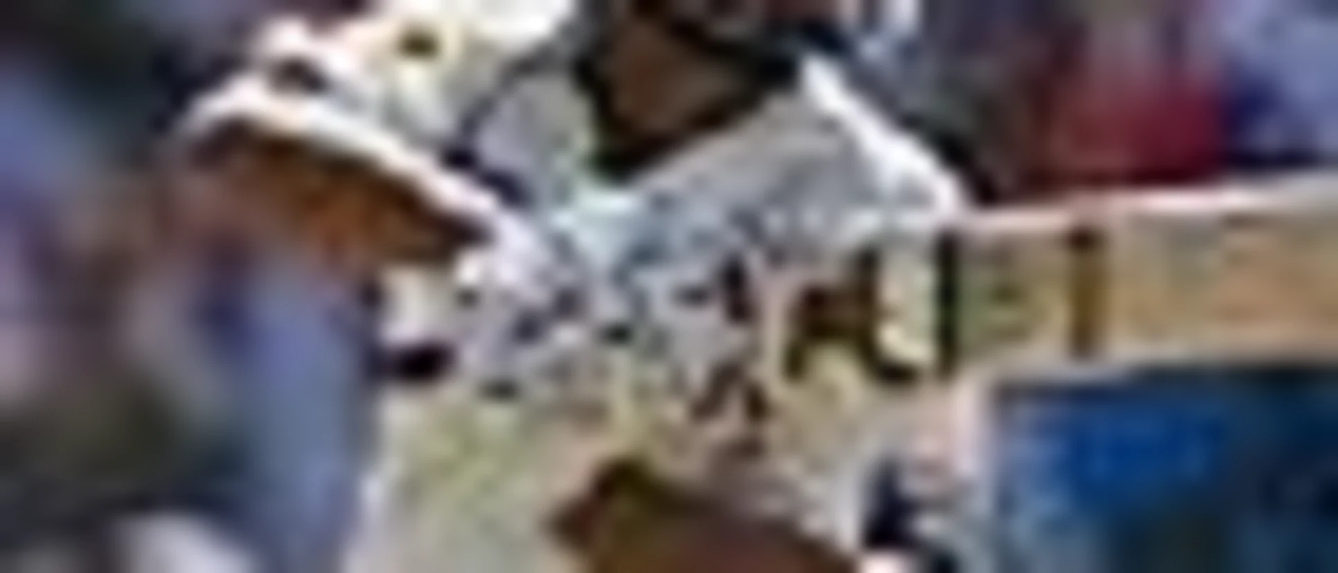 9925 afridi_test_70