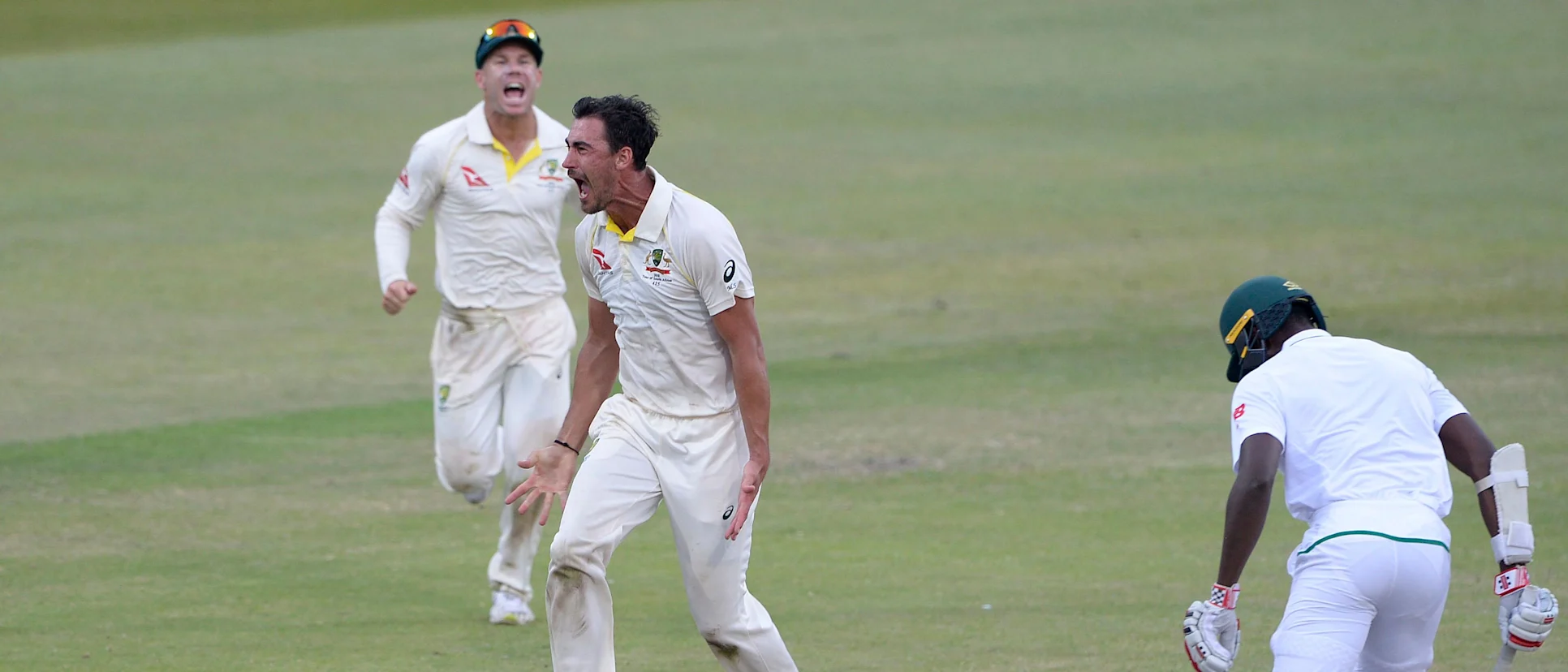 Logo of Mitchell Starc will be available for selection for the Pakistan series