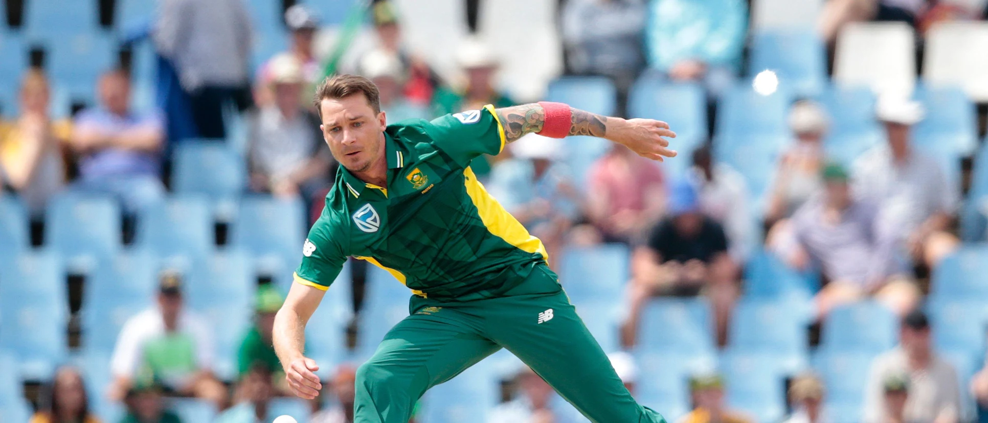 Logo of Dale Steyn