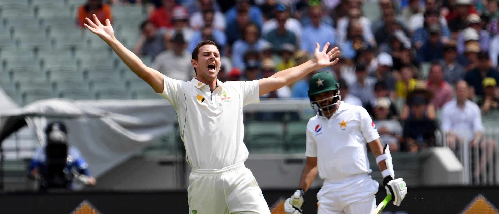 Logo of Josh Hazlewood
