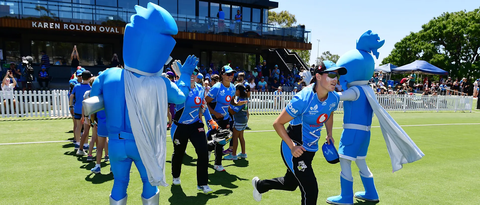 Logo of Adelaide strikers WBBL