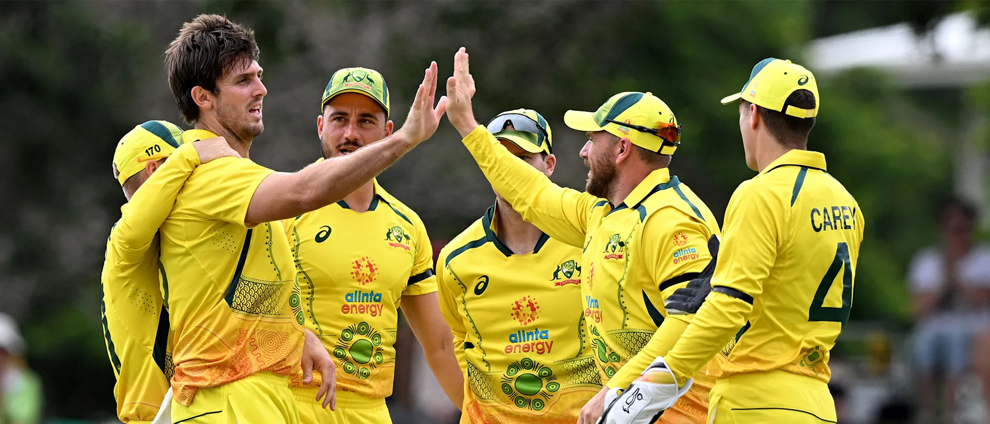 Logo of Mitchell Marsh