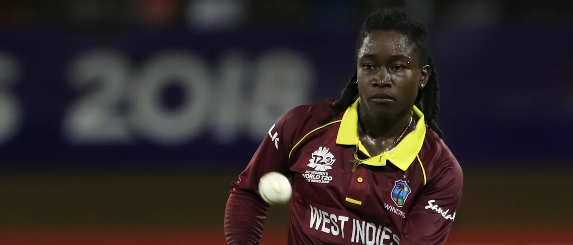 Logo of Deandra Dottin of the Windies during match 3, Windies Women v Bangladesh Women on November 9, 2018 in Providence, Guyana.