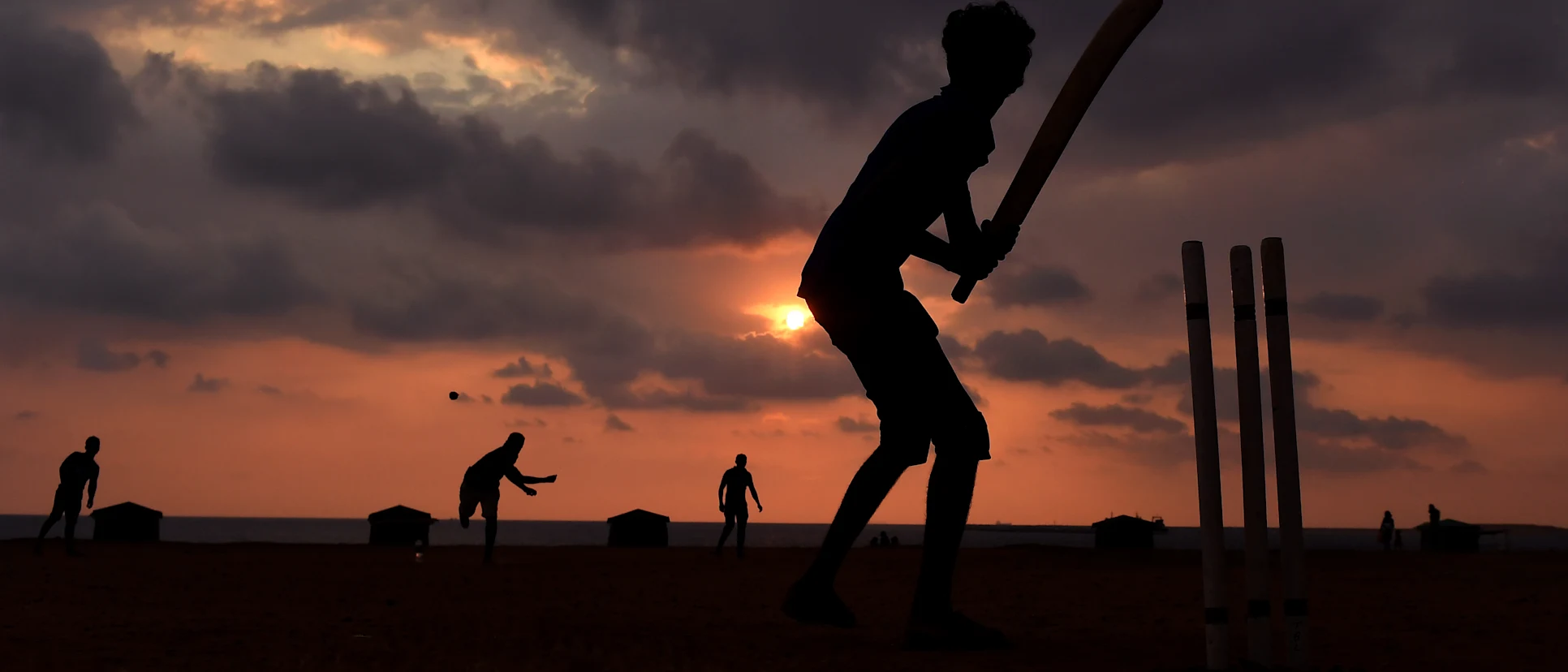 Logo of cricket