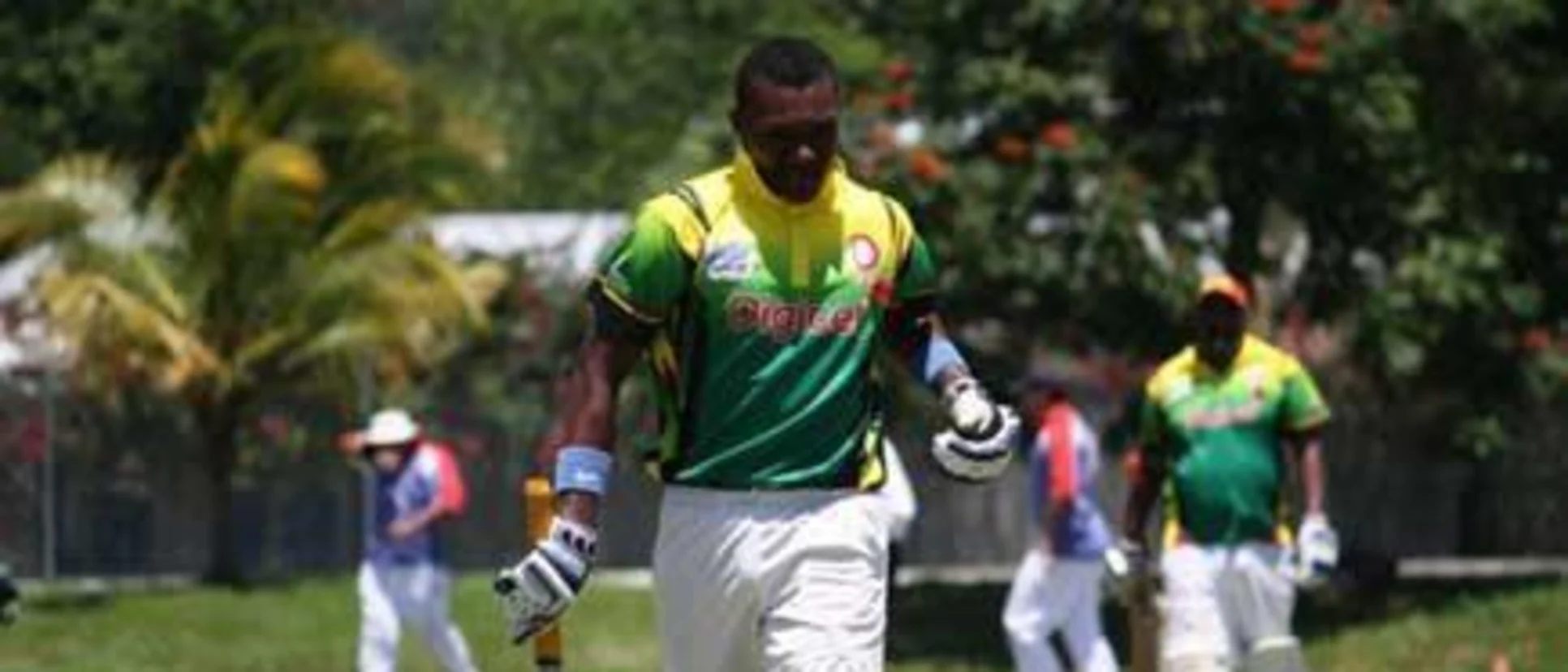 4629 vanuatu senior