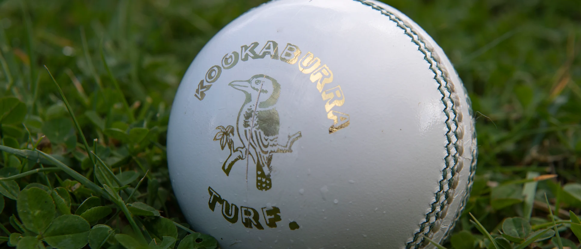 Logo of ball