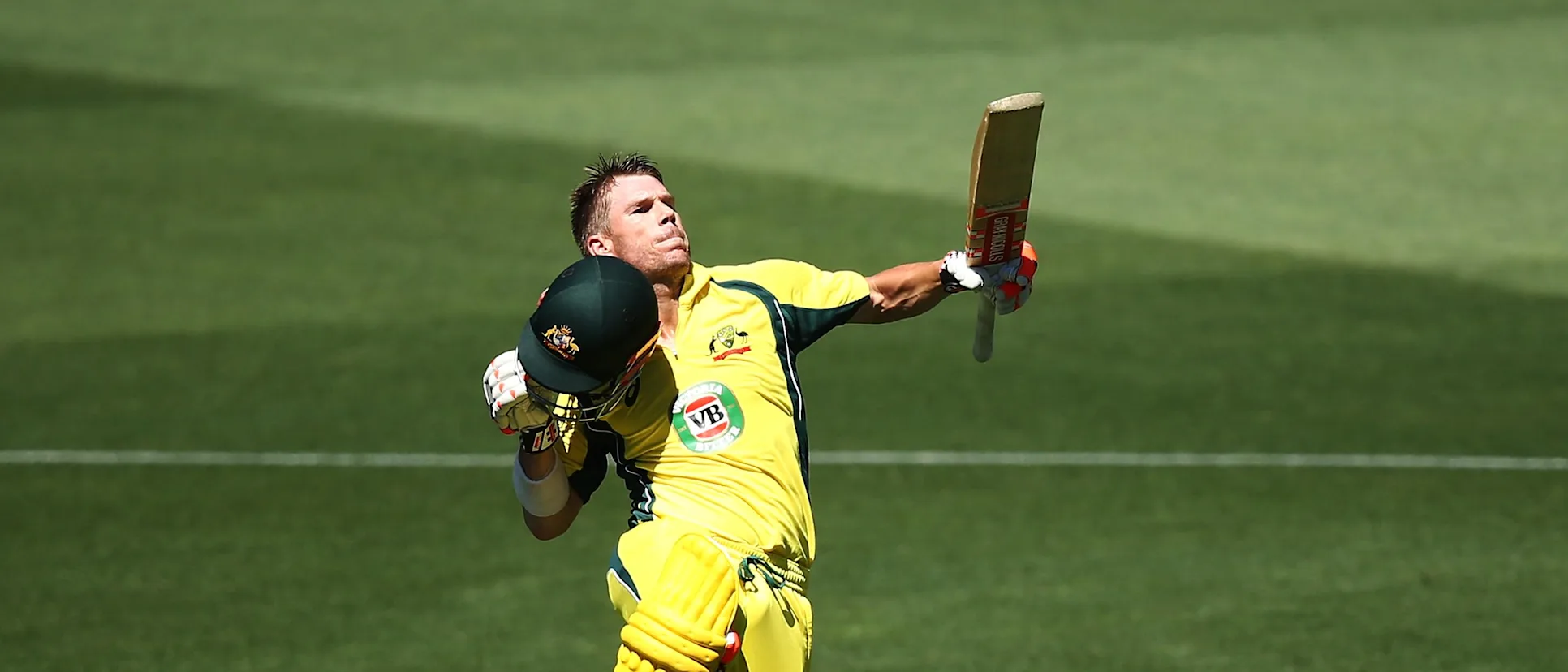 Logo of David Warner