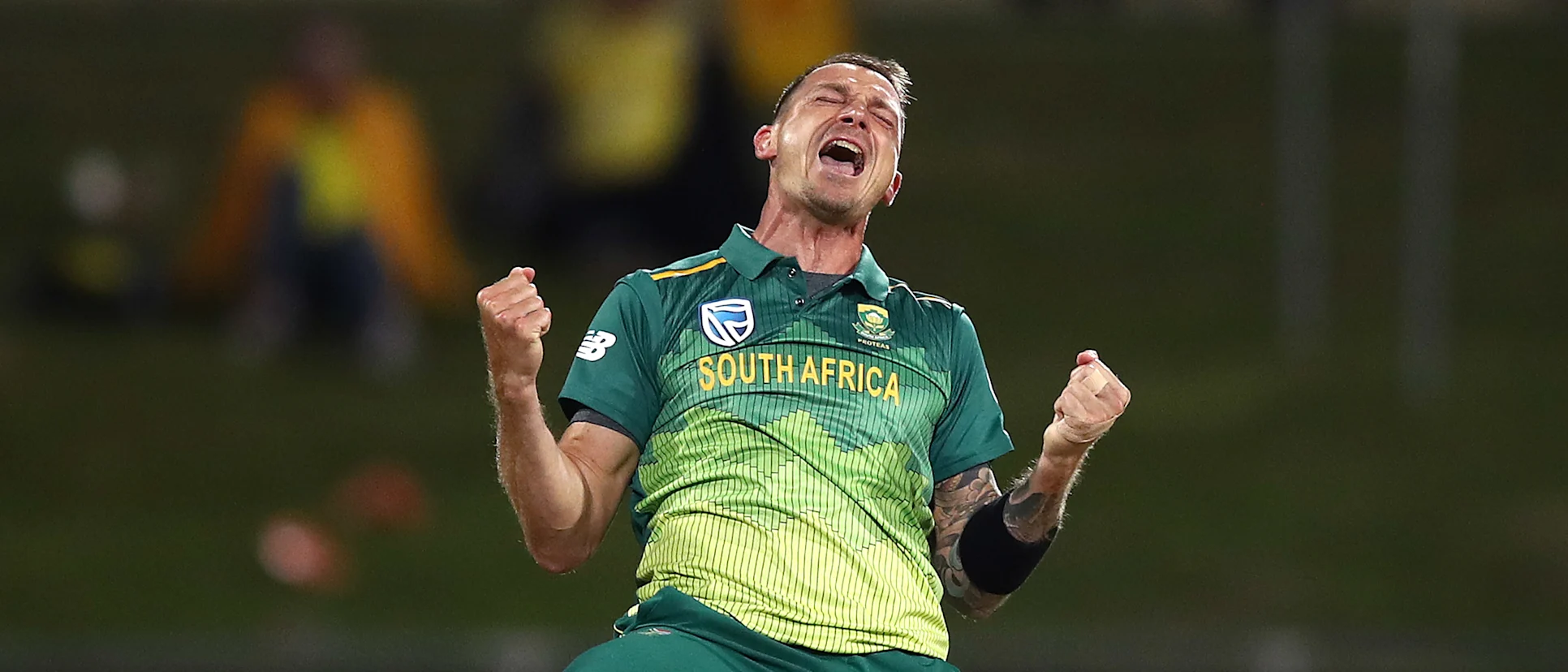 Logo of Dale Steyn