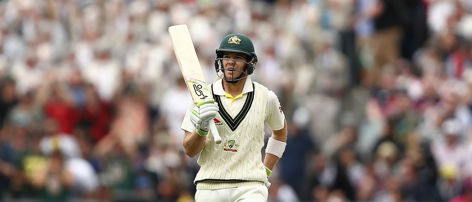 Logo of Tim Paine