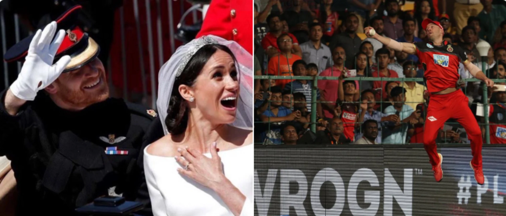 Logo of Royal Wedding, AB de Villiers.