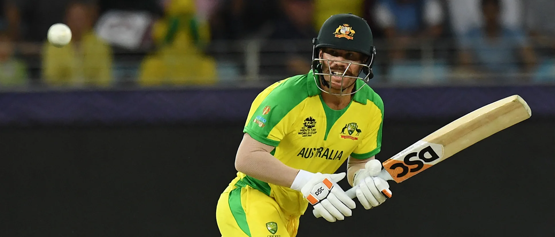 Logo of David Warner
