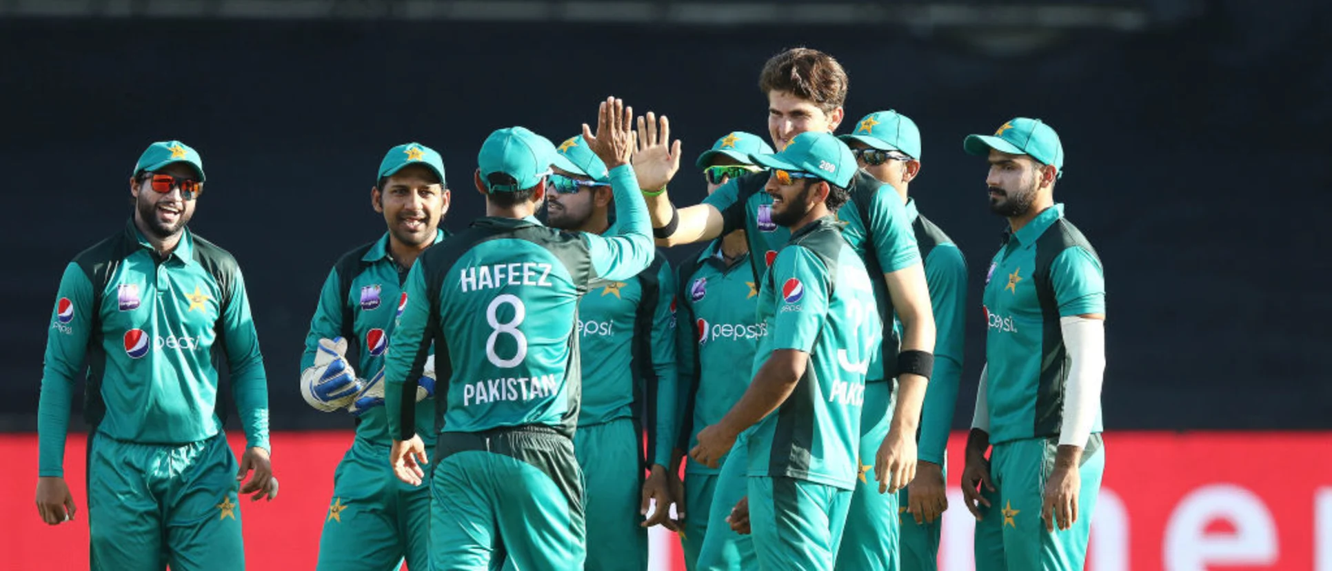 Logo of Pakistan cricket team
