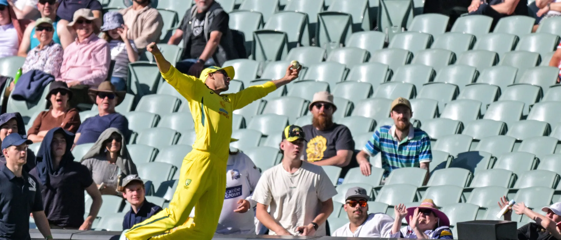 Logo of Ashton Agar fielding