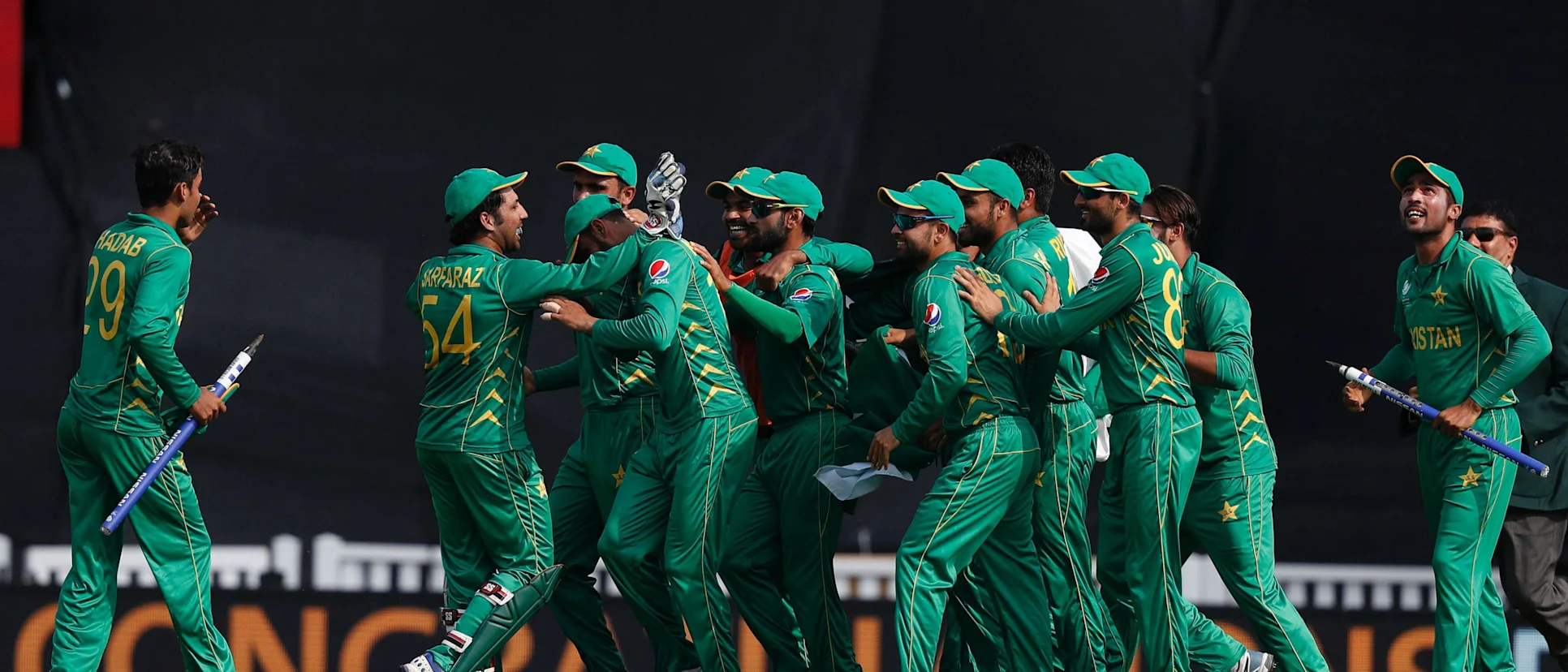 Logo of Pakistan cricket
