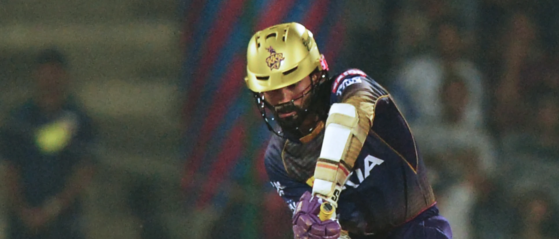 Logo of Dinesh Karthik