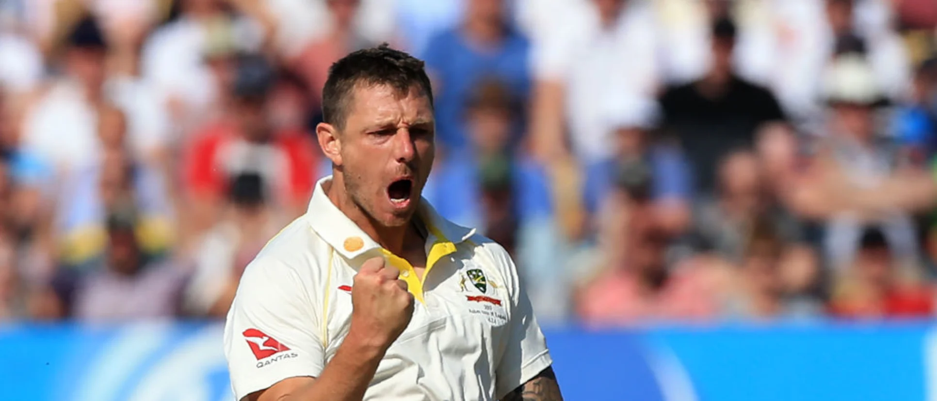 Logo of James Pattinson was the pick of the bowlers
