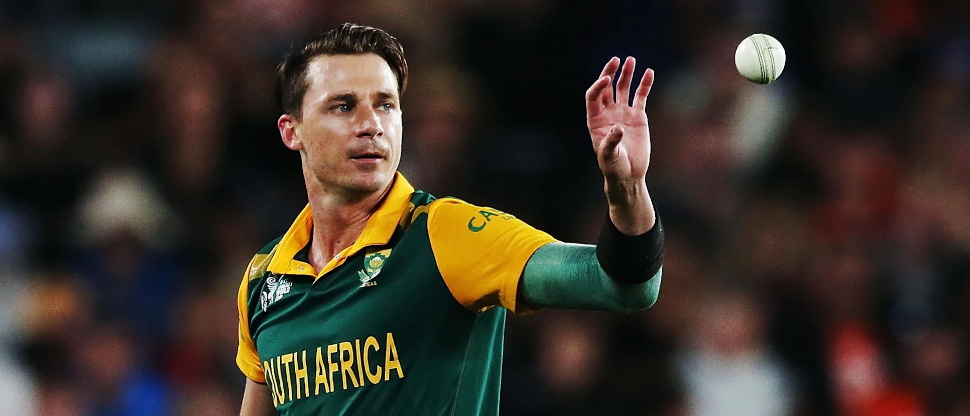 Logo of Dale Steyn