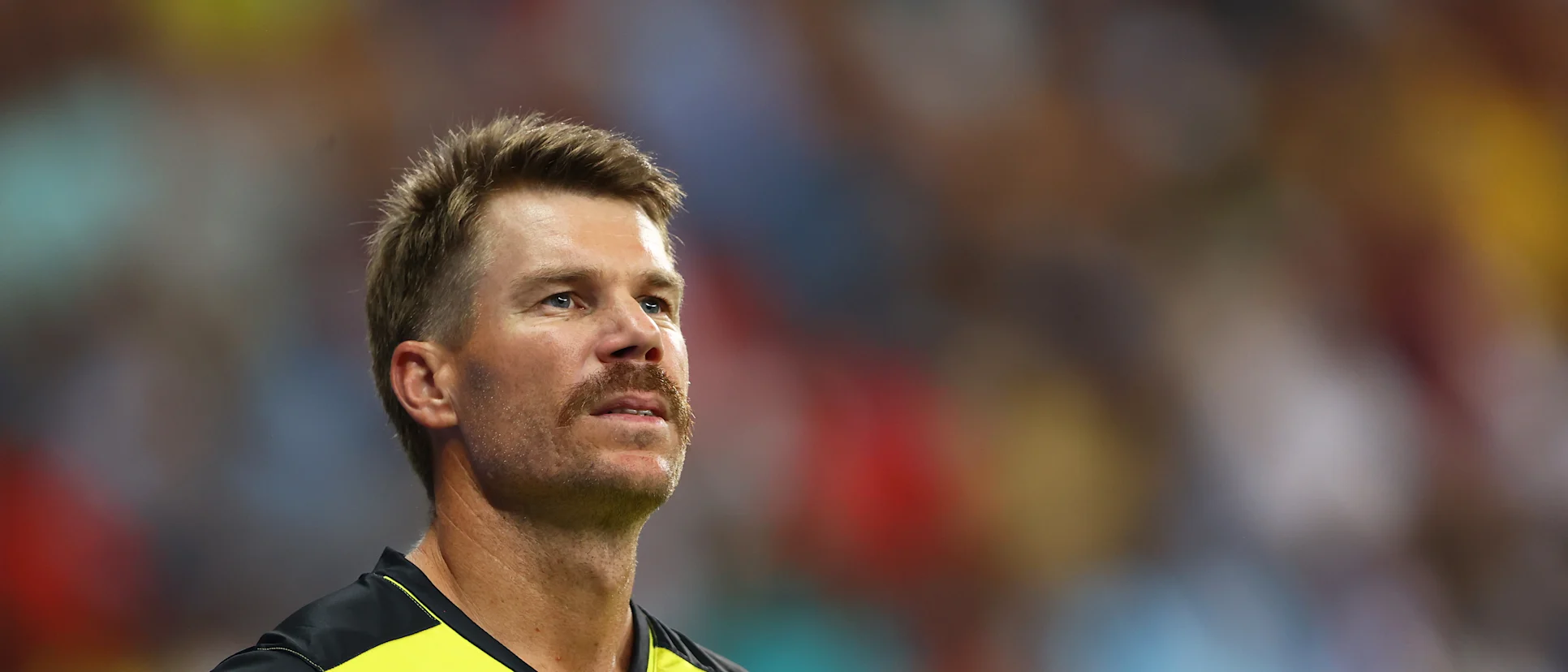 Logo of David Warner