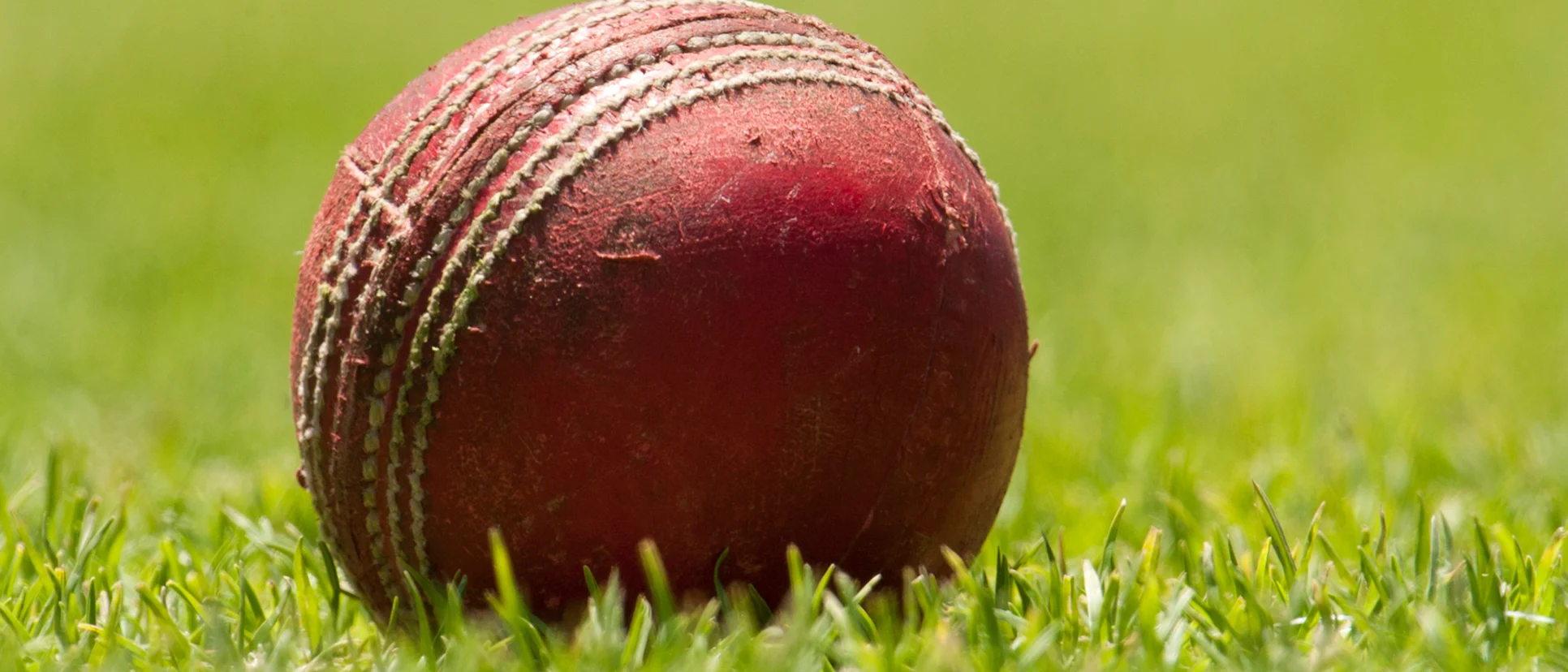 Logo of Cricket ball