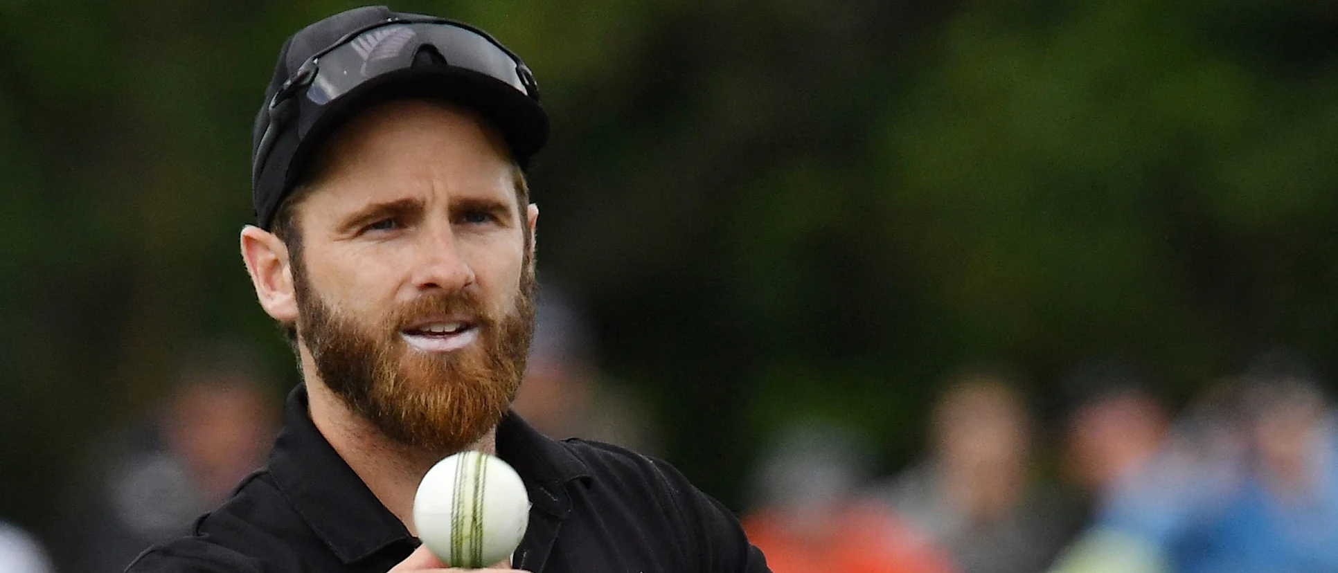 Kane-Williamson-update